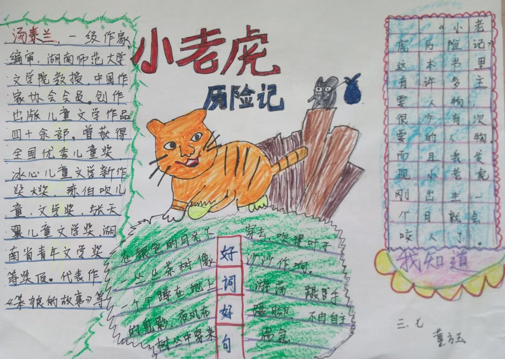 小老虎历险记手抄报图片大全（）
