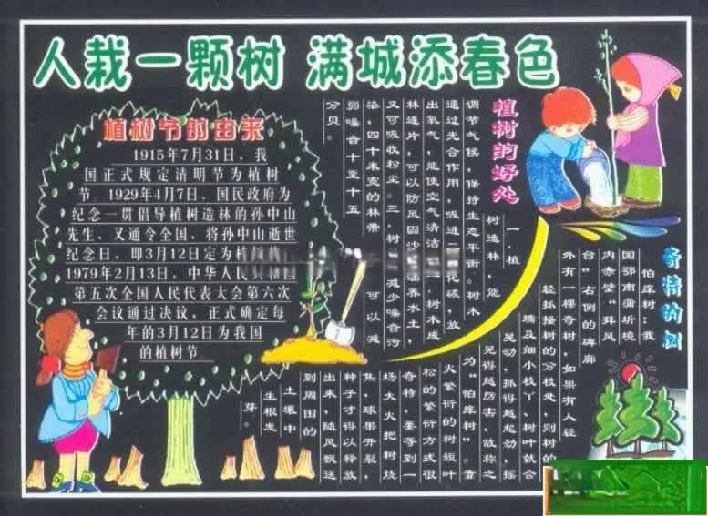植树节专题黑板报设计：人栽一棵树 满城添春色—植树节由来/植树的好处/奇特的...