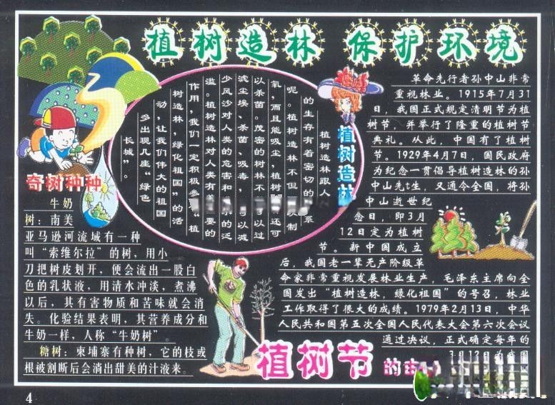 植树节精品板报：植树造林 保护环境