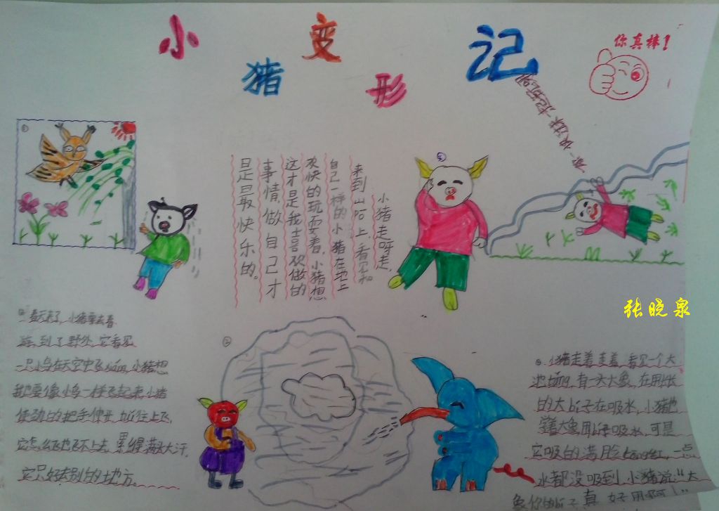 小猪变形记手抄报