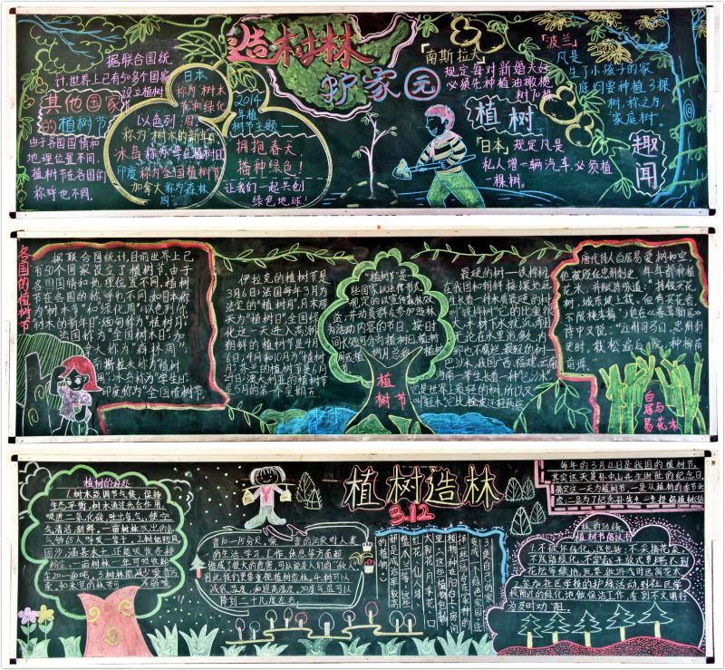 植树节黑板报组图