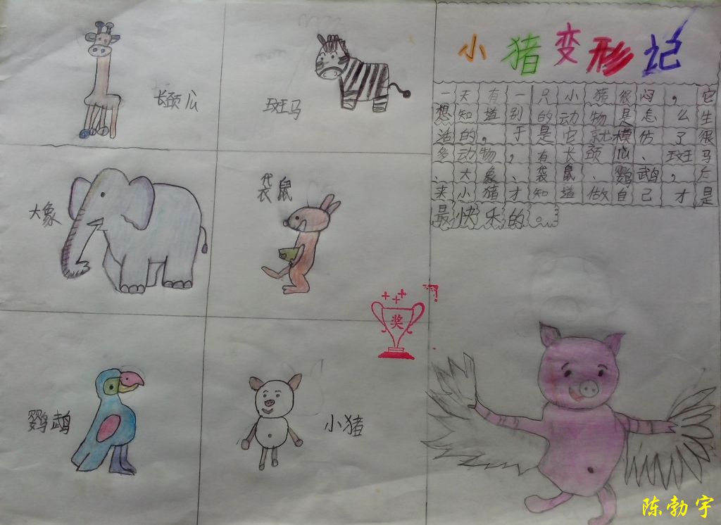 小猪变形记手抄报