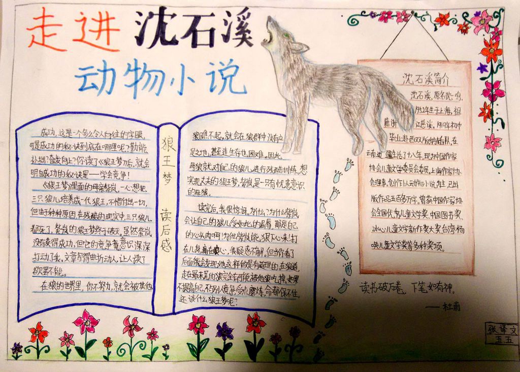 走进沈石溪动物小说手抄报