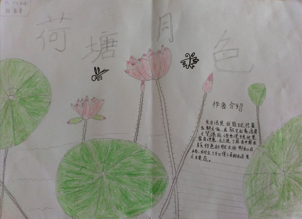荷塘月色手抄报