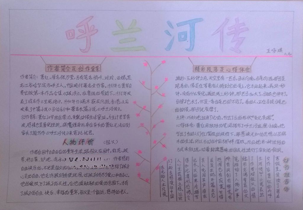 呼兰河传手抄报