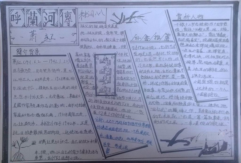 呼兰河传手抄报