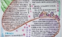 趣读共享手抄小报
