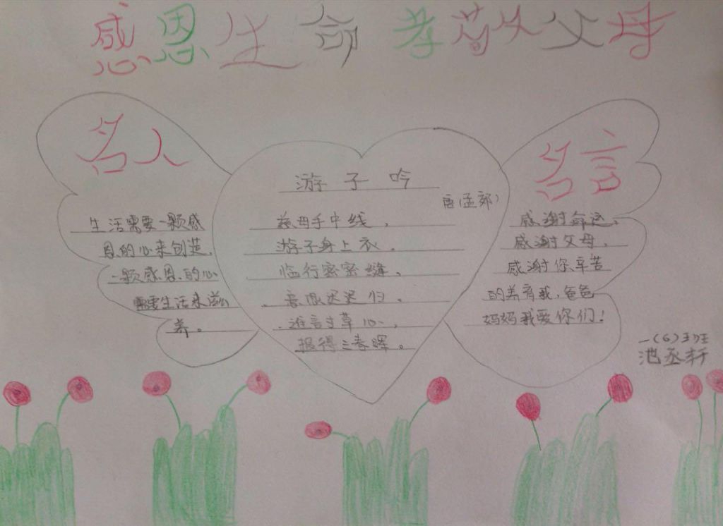 感恩生命孝敬父母手抄报
