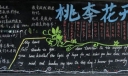 桃李花开黑板报图片