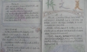 说不尽的桥手抄报