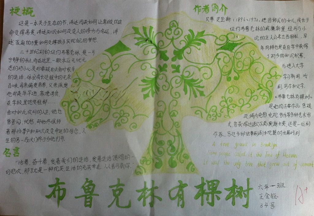 布鲁克林有棵树手抄报