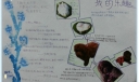 我的乐趣手抄报图片