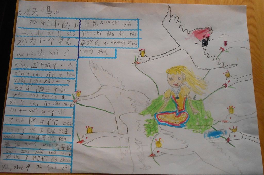 野天鹅手抄报大全 野天鹅手抄报大全