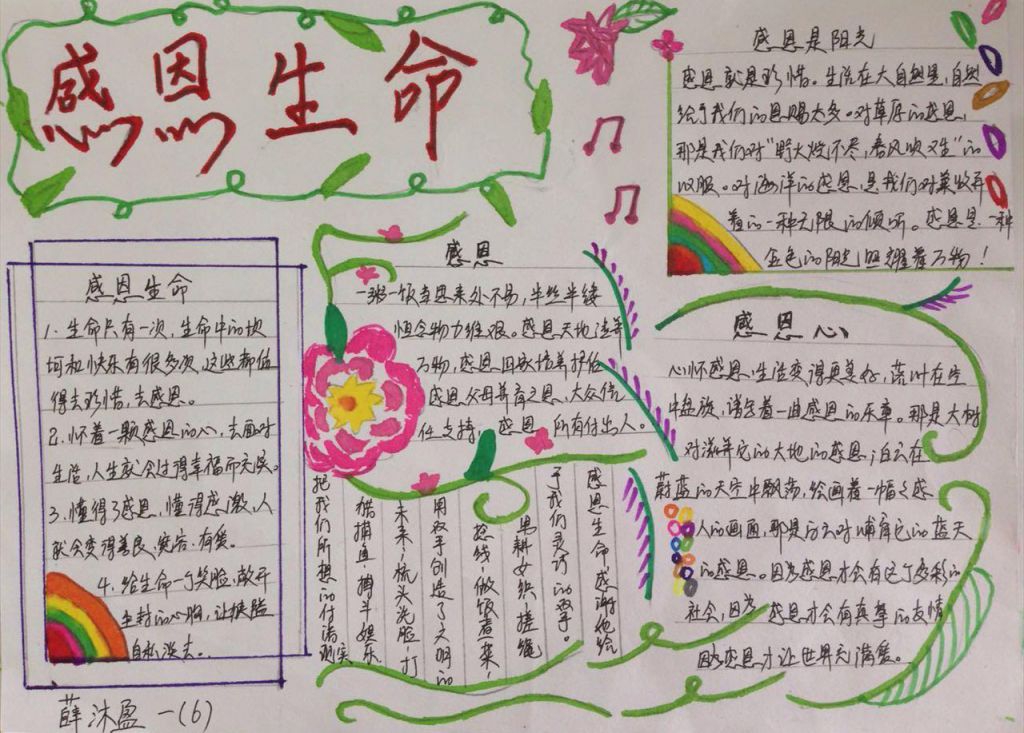 感恩生命孝敬父母手抄报