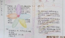 狼王梦手抄报图片大全