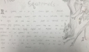 松鼠（The squirrels）手抄报