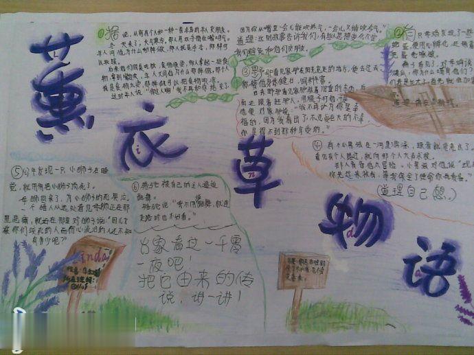 薰衣草物语手抄报版面设计图