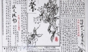 高中生一等奖手抄报作品