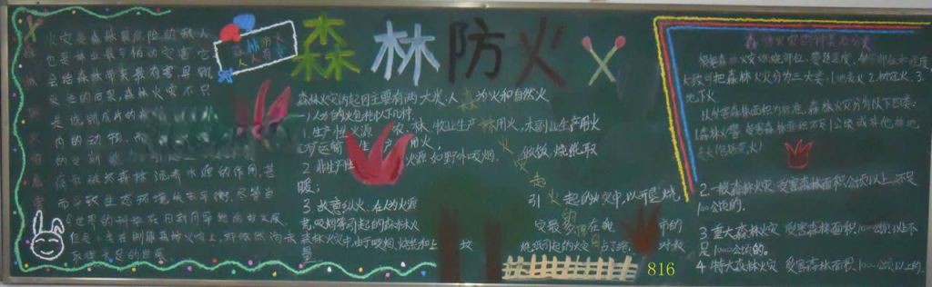 初中生森林防火手抄报大全