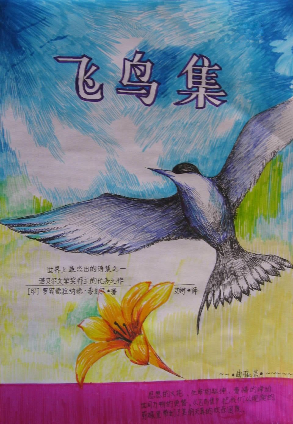 飞鸟集手抄报封面图片 飞鸟集手抄报封面图片