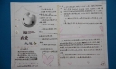 广东深圳大运会手抄报设计作品欣赏