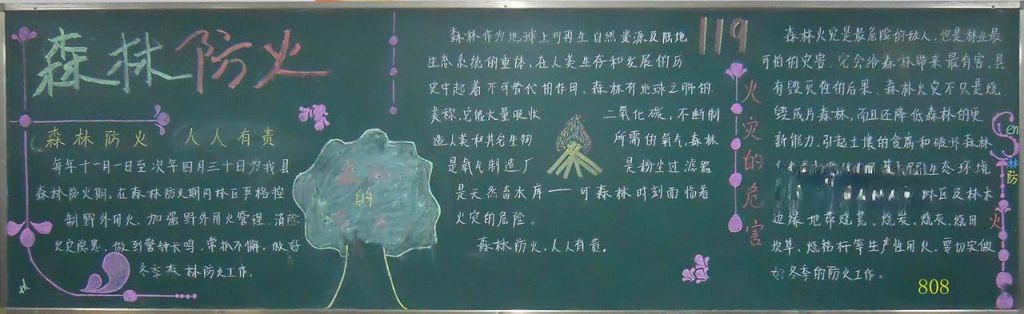 初中生森林防火手抄报大全