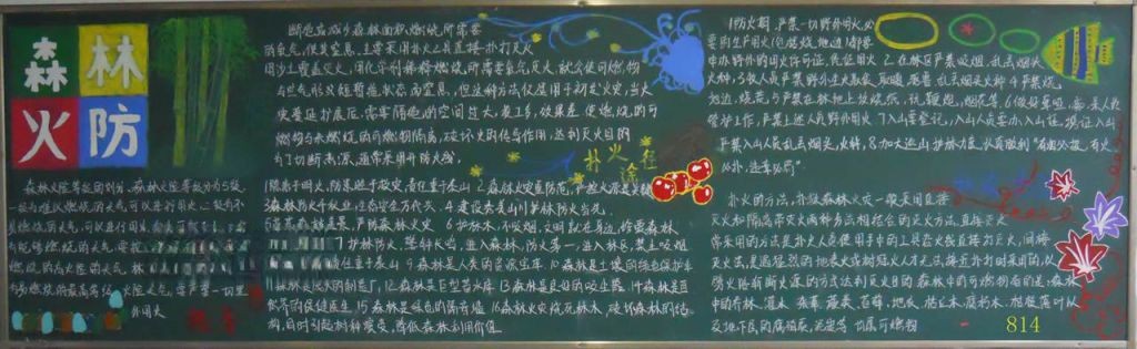 初中生森林防火手抄报大全