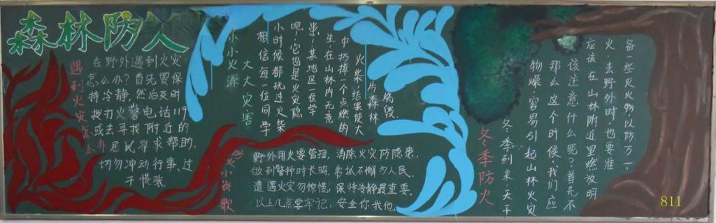 初中生森林防火手抄报大全