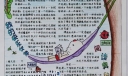 长生果手抄报版面设计图
