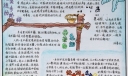 读书二等奖小报图片