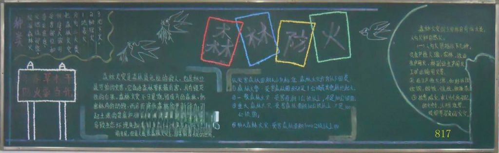 初中生森林防火手抄报大全