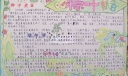 端午手抄报：粽叶飘香