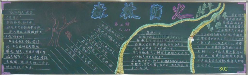 初中生森林防火手抄报大全