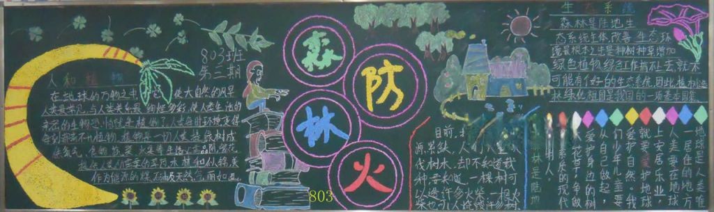 初中生森林防火手抄报大全