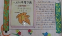 一片叶子落下来手抄报图片