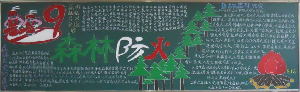 初中生森林防火手抄报大全