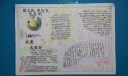 迎大运学礼仪促文明手抄报作品