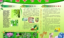 端午节电子手抄报高清大图