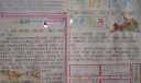 马的世界手抄报图片