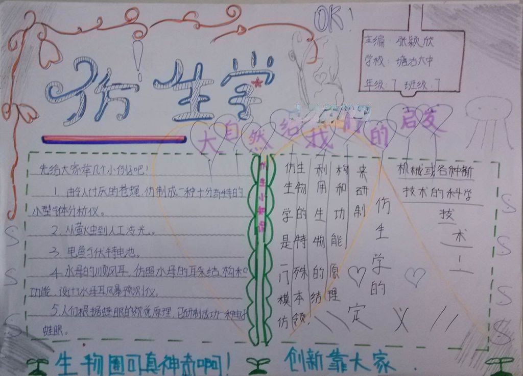 仿生科技手抄报图片大全