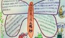 昆虫学家工作大揭秘手抄报