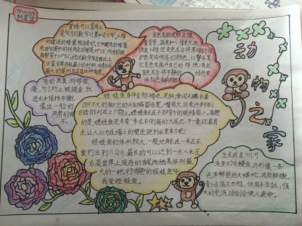 我爱动物手抄报图片