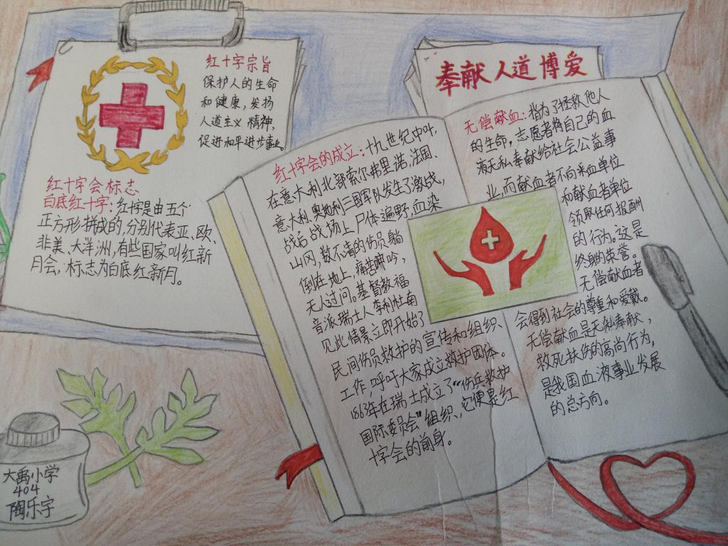 红十字手抄报简单又漂亮，张张精品哦！