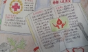 红十字手抄报简单又漂亮，张张精品哦！