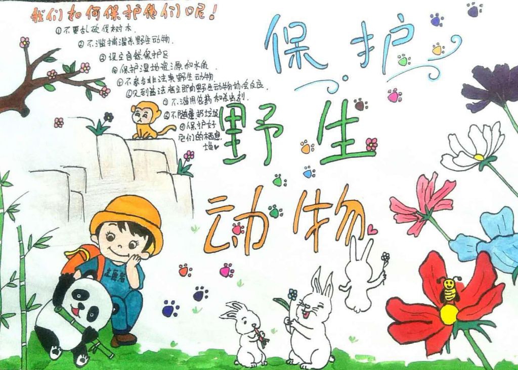 禁止伤害野生动物手抄报，让我们一起保护野生动物吧！