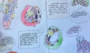 高一生物细胞手抄报