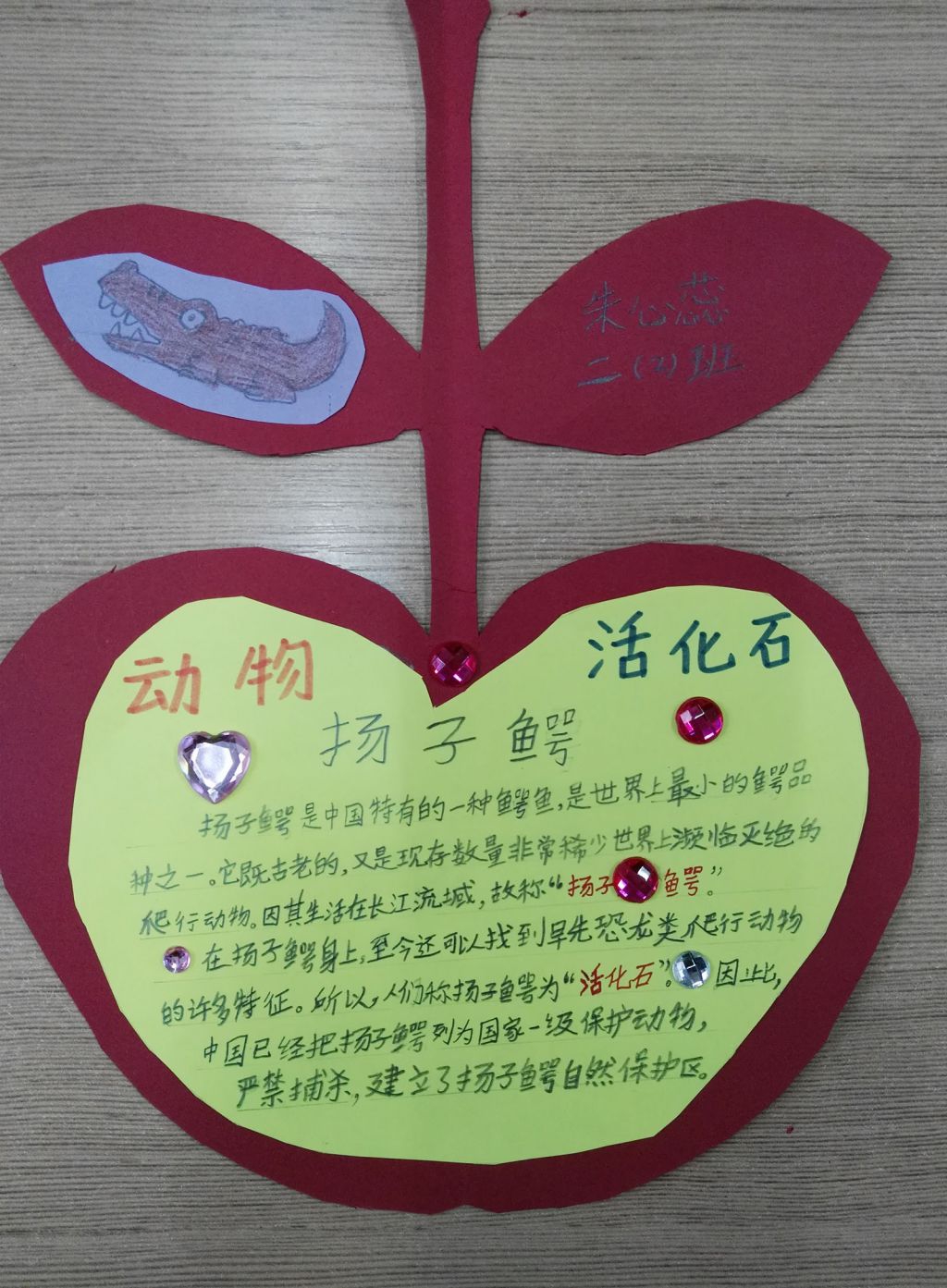 活化石扬子鳄手抄报