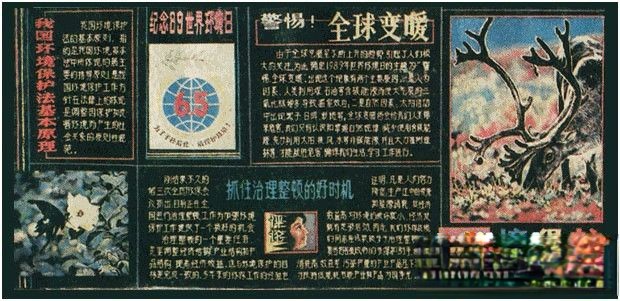 纪念世界环境日黑板报：警惕！全球变暖