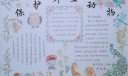 保护野生动物手抄报怎么做？