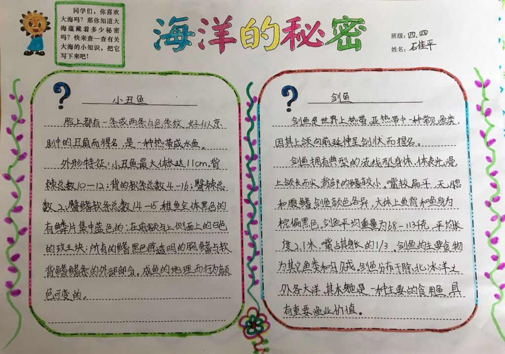 海洋的秘密手抄报图片大全